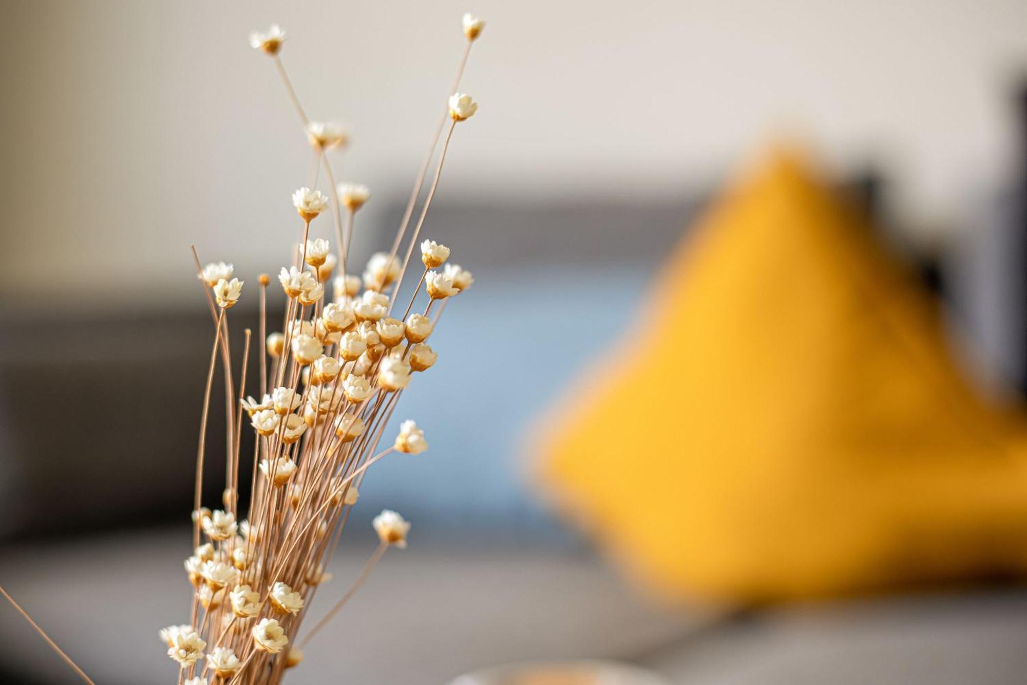 Ferienhaus Seeherz Sellin  Zewnętrze zdjęcie